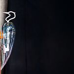 The Garden of the Future: WOODPECKER