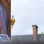 The Garden of the Future