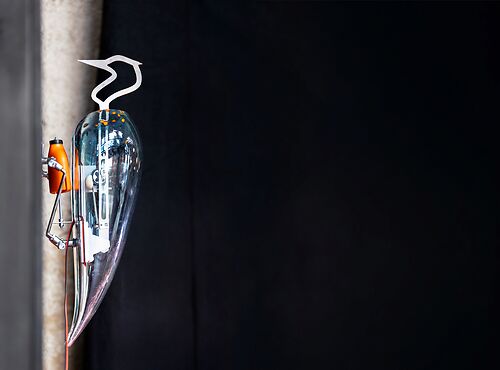 The Garden of the Future: WOODPECKER