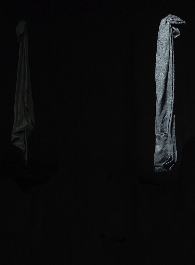 What to look forward to in Spring 2025