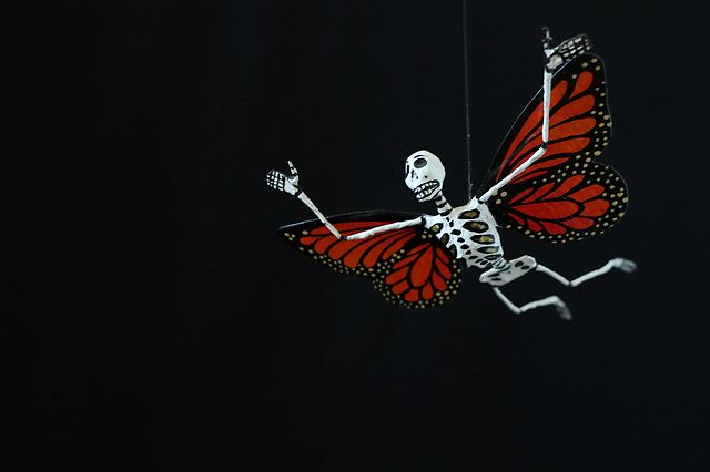 EXTRACTIONS 25 + PREMIERE "WALL TO WALL" + THE GARDEN OF THE FUTURE : WOODPECKERS + .... PARTY!!!